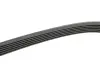 Фото Ремінь генератора Citroen Berlingo/Peugeot Partner 1.1/1.4 96-08 (6PK1560) HUTCHINSON (1560K6) зображення 3