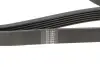 Фото Ремінь генератора Citroen Berlingo/Peugeot Partner 1.1/1.4 96-08 (6PK1560) HUTCHINSON (1560K6) зображення 4