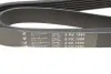 Фото Ремінь генератора Citroen Berlingo/Peugeot Partner 1.1/1.4 96-08 (6PK1560) HUTCHINSON (1560K6) зображення 5