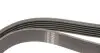 Фото Ремінь генератора Audi A4 1.6-2.0 00-08 (6PK1570) HUTCHINSON (1570K6) зображення 3