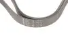 Фото Ремінь генератора Audi A4 1.6-2.0 00-08 (6PK1570) HUTCHINSON (1570K6) зображення 4