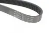 Фото Ремінь генератора Land Rover 2.5 TDI HUTCHINSON (1580K7) зображення 4