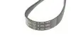 Поликлиновый ремень HUTCHINSON (1590K5) изображение 2
