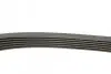 Ремень (поликлиновый) HUTCHINSON (1622K6) изображение 2