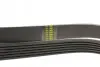 Ремень (поликлиновый) HUTCHINSON (1622K6) изображение 3
