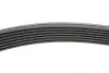Фото Ремінь генератора BMW 5 (E39)/7 (E38) 3.5i/4.0i 93-04 HUTCHINSON (1626K7) зображення 2