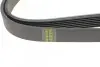 Фото Ремінь генератора BMW 5 (E39)/7 (E38) 3.5i/4.0i 93-04 HUTCHINSON (1626K7) зображення 3