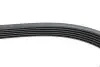 Фото Ремінь генератора VW LT 2.8TDI 96KW/Ford Transit 2.0DI 00-14 (6PK1637) HUTCHINSON (1637 K 6) зображення 4
