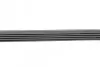 Фото Ремень (поликлиновый) HUTCHINSON (1640K5) изображение 2