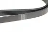 Фото Ремень (поликлиновый) HUTCHINSON (1640K5) изображение 3