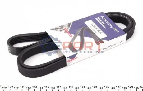 Ремінь генератора Hyundai i30/Suzuki Grand Vitara 2.0 96- HUTCHINSON 1644K5 Купити в Україні