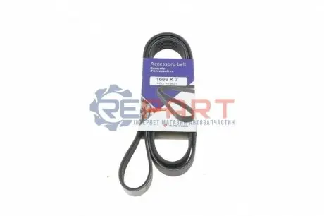 Ремінь генератора BMW X5 (E70) 4.8i 07-08/Renault Master 2.3 dCi 14 HUTCHINSON 1666K7 Купити в Україні