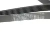 Фото Ремінь генератора Citroen Berlingo 1.9D/ VW LT 2.8TDI 116KW (6PK1682) HUTCHINSON (1682K6) зображення 2