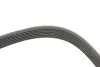 Фото Ремінь генератора Opel Vivaro 2.0 CDTI 06-/Movano B 2.3 CDTI/Renault Master 2.3dci 10- (7PK1685) HUTCHINSON (1685K7) зображення 3