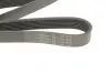 Фото Ремінь генератора Opel Vivaro 2.0 CDTI 06-/Movano B 2.3 CDTI/Renault Master 2.3dci 10- (7PK1685) HUTCHINSON (1685K7) зображення 4