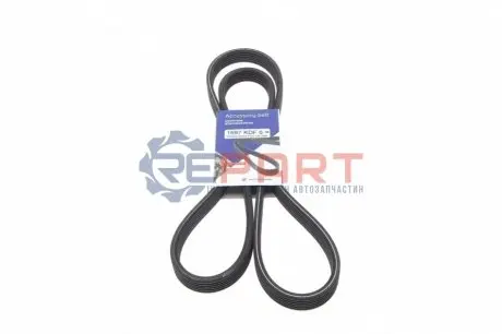 Ремінь генератора BMW 1/3 1.6/1.8/2.0d 06-12 HUTCHINSON 1697KDF6 Купити в Україні