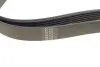 Фото Ремінь генератора VW LT 2.5TDI -06/T4 2.5 91-03/Ford Connect 1.8 TDCi 02-07 (6PK1718) HUTCHINSON (1718K6) зображення 3
