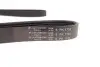 Фото Ремінь генератора BMW 3 (E46)/Fiat Scudo 1.9D/VW Caddy III/ Golf V/Passat 1.4/1.6FSI (6PK1733) HUTCHINSON (1733K6) зображення 4