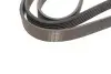 Фото Ремінь генератора Peugeot Expert/Citroen Jumpy 1.9D/TD 96-/2.0HDI 00- (6PK1740) HUTCHINSON (1740K6) зображення 2