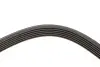 Фото Ремінь генератора Peugeot Expert/Citroen Jumpy 1.9D/TD 96-/2.0HDI 00- (6PK1740) HUTCHINSON (1740K6) зображення 4