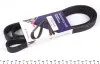 Фото Ремінь генератора Ford Connect 1.8TDCi 06-14/Citroen C5 2.0HDi 00- (6PK1745) HUTCHINSON (1745K6) зображення 1