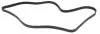 Фото Ремінь генератора Ford Connect 1.8TDCi 06-14/Citroen C5 2.0HDi 00- (6PK1745) HUTCHINSON (1745K6) зображення 2
