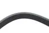 Фото Ремінь генератора Ford Scorpio 2.0i 94-98 (6PK1755) HUTCHINSON (1755 K 6) зображення 4