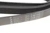 Фото Ремінь генератора MB W202/210 M111/Ford Transit 2.301-06 (6PK1775) HUTCHINSON (1775K6) зображення 5