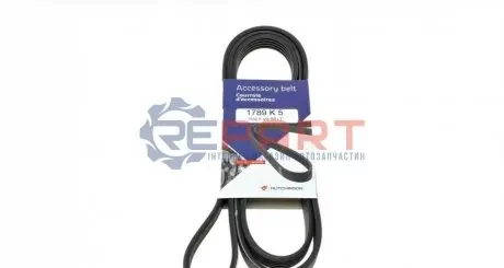 Ремінь генератора Hyundai i10/Kia Picanto 1.1 CRDi 08- HUTCHINSON 1789K5 Купити в Україні
