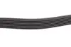 Фото Ремень генератора Renault Master/Opel Movano 2.5 dCi 03- (7PK1792) - Ремень генератора Renault Master/Opel Movano 2.5 dCi 03- (7PK1792) HUTCHINSON (1792K7) изображение 3