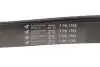 Фото Ремень генератора Renault Master/Opel Movano 2.5 dCi 03- (7PK1792) - Ремень генератора Renault Master/Opel Movano 2.5 dCi 03- (7PK1792) HUTCHINSON (1792K7) изображение 4