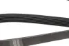 Ремінь генератора Fiat Doblo 1.9D/JTD 01-/Renault Laguna 1.6 01-07 (+AC) (6PK1815) HUTCHINSON (1815K6) зображення 2