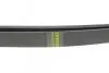 Фото Ремінь генератора Nissan Qashqai 1.6 07-13 HUTCHINSON (1817 K 7) зображення 3