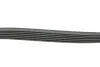 Фото Ремінь генератора Toyota Corolla 00-02 HUTCHINSON (1820K6) зображення 2