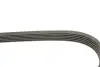 Фото Ремінь генератора Renault Master 2.2/2.5 dCi 00- (6PK1836) HUTCHINSON (1836K6) зображення 3