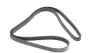 Фото Ремінь генератора Mazda 2 1.3/1.5 07-/Toyota Corolla 1.4/1.6 00-02 HUTCHINSON (1842K6) зображення 5