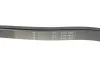 Фото Ремінь генератора MB C-class (W202) 2.0 95-01 HUTCHINSON (1863K6) зображення 4