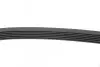 Фото Ремінь генератора VW Passat/Audi A4 2.4/2.6/2.8 95 HUTCHINSON (1882K6) зображення 2
