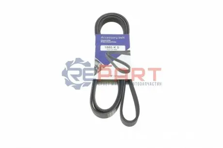 Ремінь генератора BMW 3 (E36) 1.8TDS 95-00 (5PK1885) HUTCHINSON 1885K5 Купити в Україні