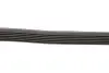 Фото Ремінь генератора Ford Escort 1.6/1.8 92-00/Renault Espace 3.0dCi 02- (6PK1920) HUTCHINSON (1920K6) зображення 4