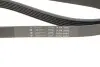 Фото Ремінь генератора MB Sprinter 2.9D/Vito (W638) 2.3D 96-/VW LT 2.5TDI 99-06 (6PK2082) HUTCHINSON (2082K6) зображення 5