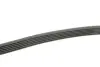Фото Ремінь генератора MB W124/W126/W201/W202 3.0 -96/VW LT 2.5TDI (6PK2172) HUTCHINSON (2172K6) зображення 3