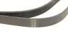 Фото Ремінь генератора MB W124/W126/W201/W202 3.0 -96/VW LT 2.5TDI (6PK2172) HUTCHINSON (2172K6) зображення 4