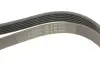 Фото Ремінь генератора MB W124/W126/W201/W202 3.0 -96/VW LT 2.5TDI (6PK2172) HUTCHINSON (2172K6) зображення 5