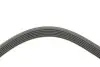 Фото Ремінь генератора MB Sprinter CDI (-AC) (6PK2195) HUTCHINSON (2195K6) зображення 3