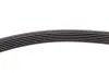 Фото Ремінь генератора MB Sprinter OM611 (-AC) (6PK2205) HUTCHINSON (2205K6) зображення 3