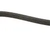 Фото Ремінь генератора MB Vito (W639)/Sprinter 906 M272/ VW Passat /Audi 2.5TDI (6PK2404) HUTCHINSON (2404K6) зображення 3