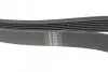 Фото Ремень (поликлиновый) HUTCHINSON (2415K7) изображение 3