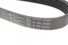 Фото Ремінь генератора Jeep Cherokee 2.8 CRD 08- (6PK2430) HUTCHINSON (2430K6) зображення 4