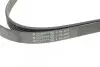 Фото Ремінь генератора Porsche Cayenne/VW Touareg 3.0 TDI 09- (6PK2475) HUTCHINSON (2475K6) зображення 4